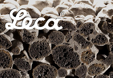 LECA ليكا