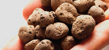 leca